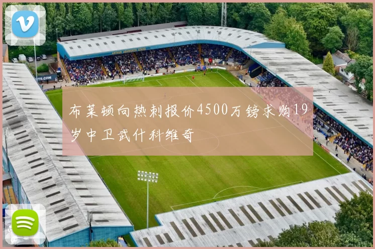 布莱顿向热刺报价4500万镑求购19岁中卫武什科维奇